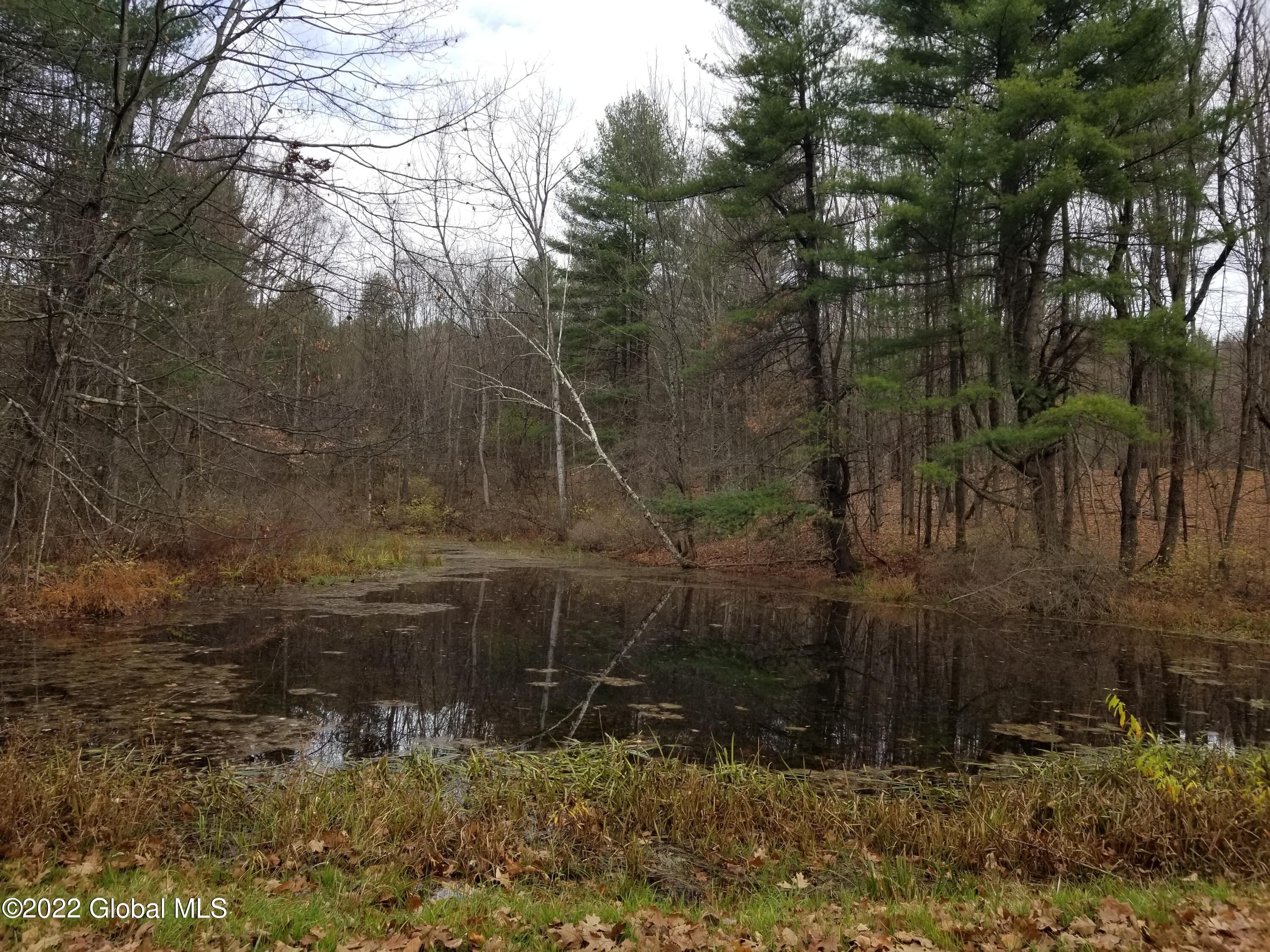 L3.3 Baker Road Granville, NY 12832 - Photo 19 of 21 Small 2nd pond