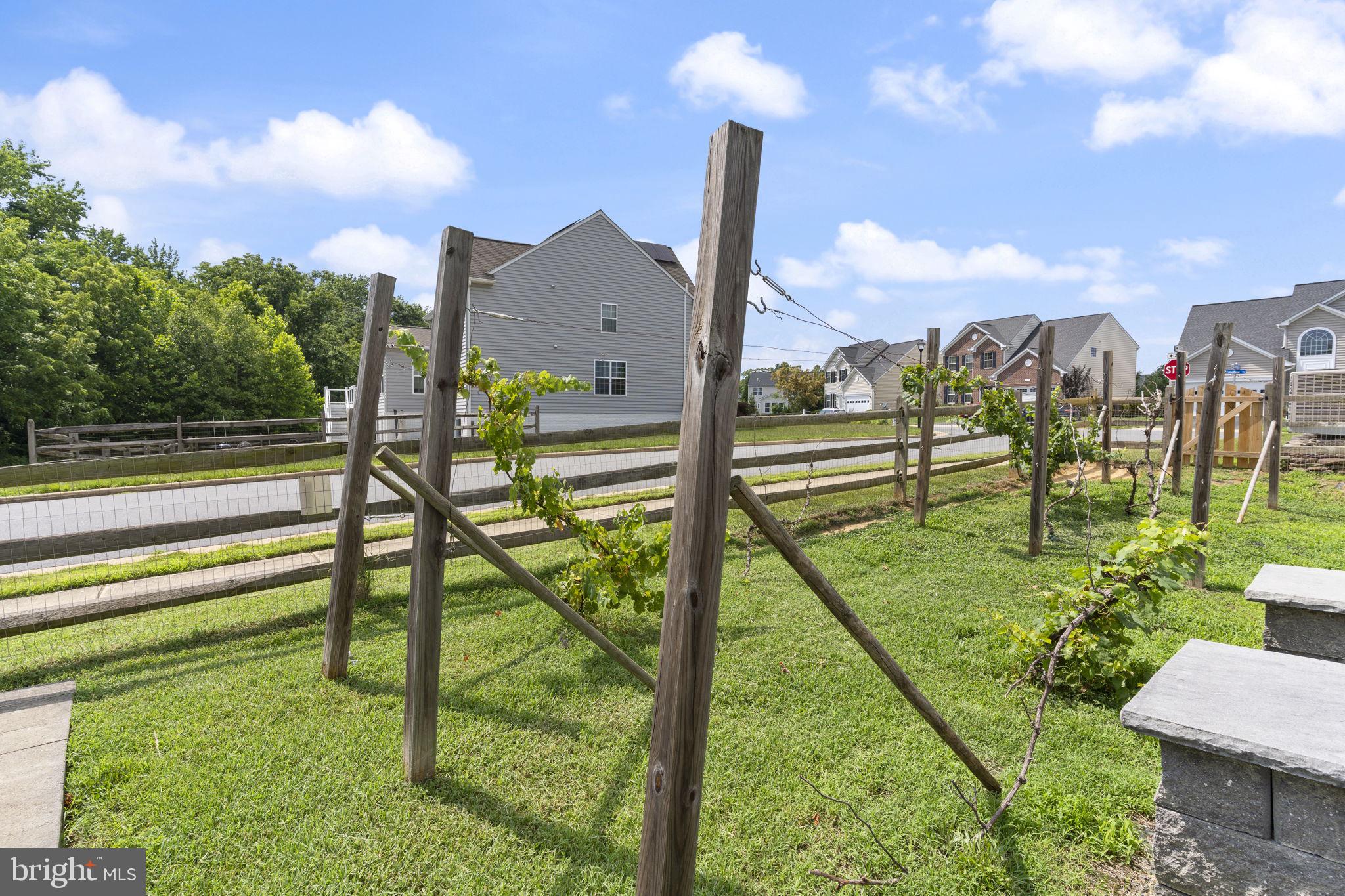 5270 Longbow Road King George, VA 22485 - Photo 59 of 75 Beautiful backyard with grape vines
