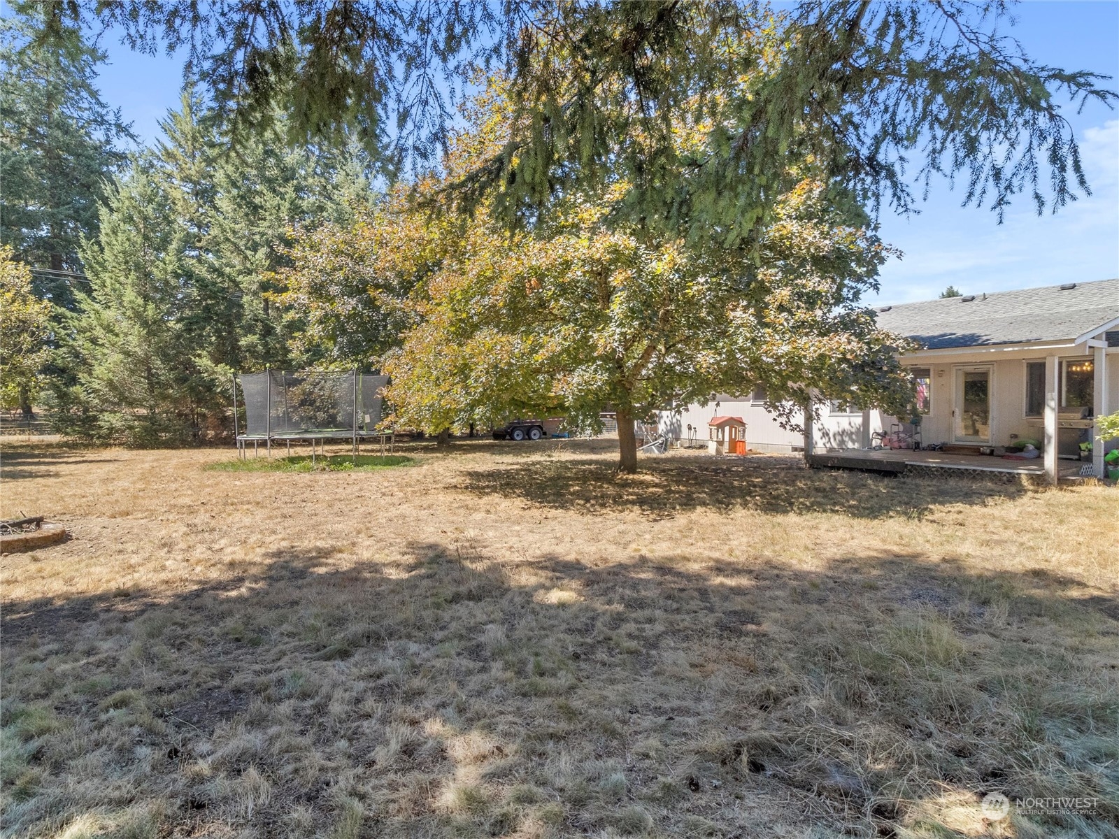 8643 194th Avenue Southwest Rochester, WA 98579 - Photo 25 of 28 a view of road with large trees