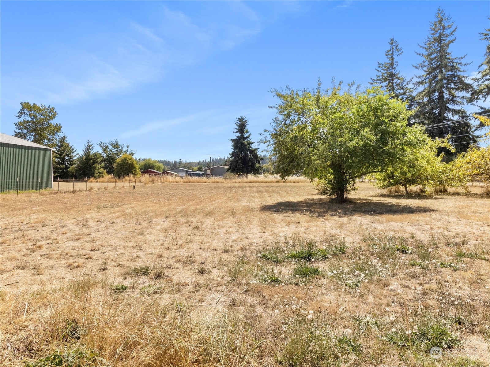 8643 194th Avenue Southwest Rochester, WA 98579 - Photo 26 of 28 a view of yard with trees
