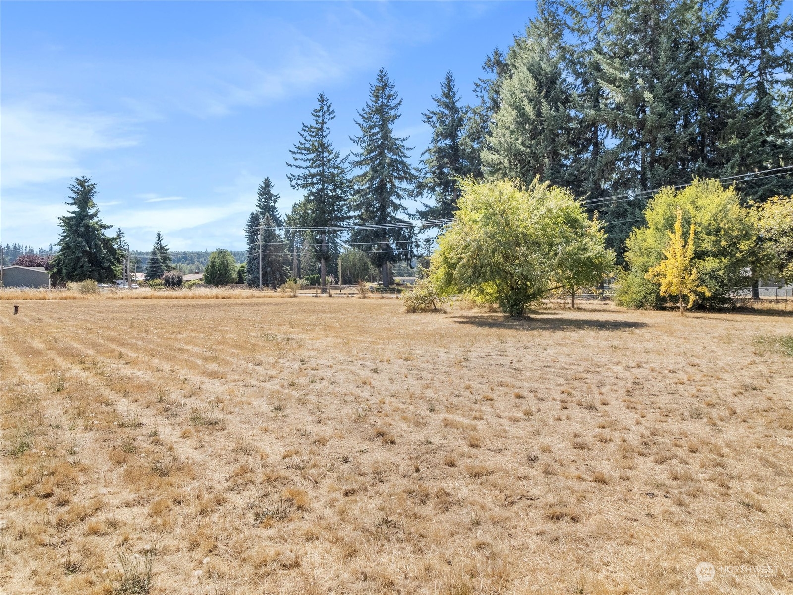 8643 194th Avenue Southwest Rochester, WA 98579 - Photo 27 of 28 a view of yard with trees