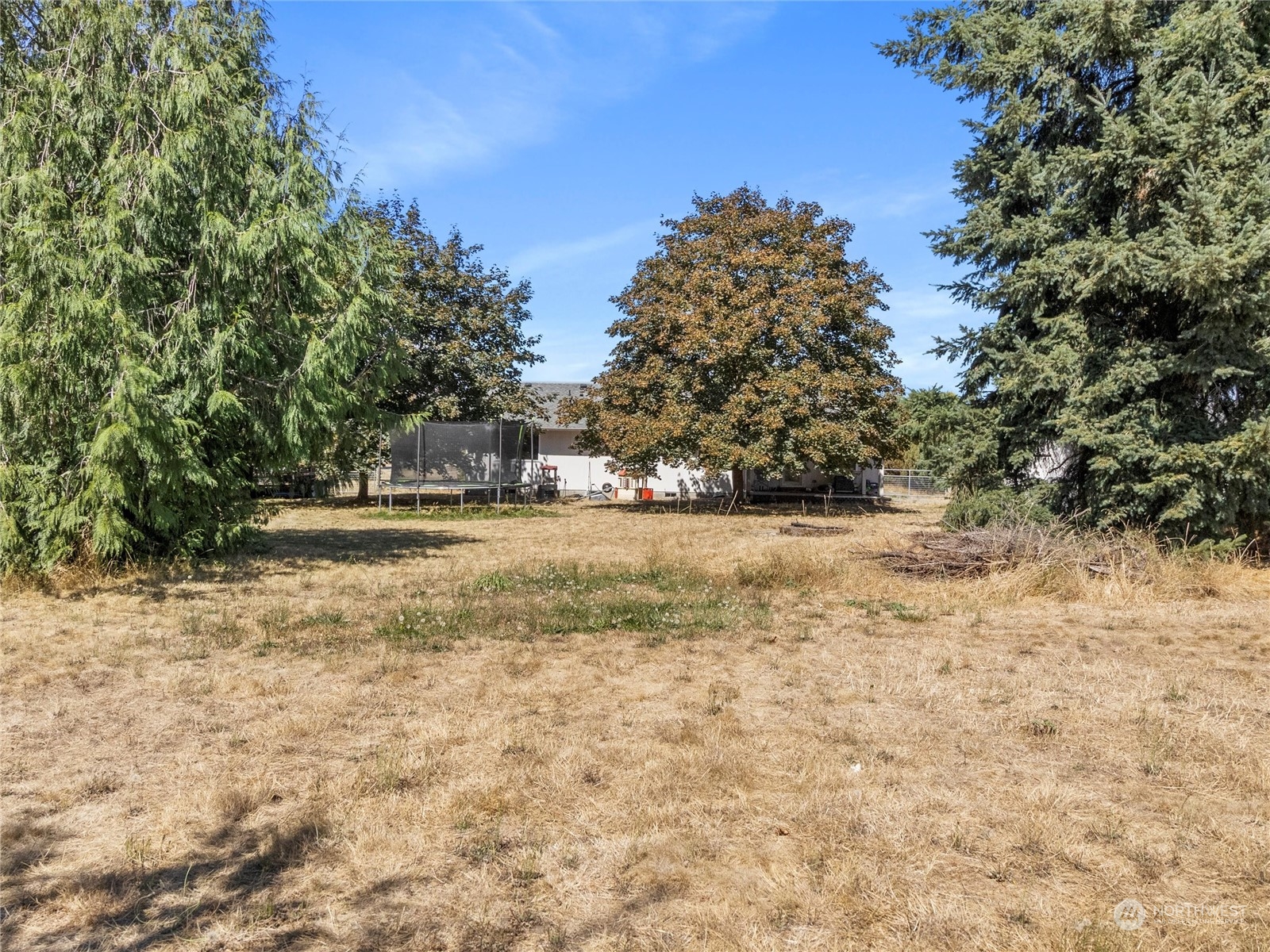 8643 194th Avenue Southwest Rochester, WA 98579 - Photo 28 of 28 a view of yard covered with trees