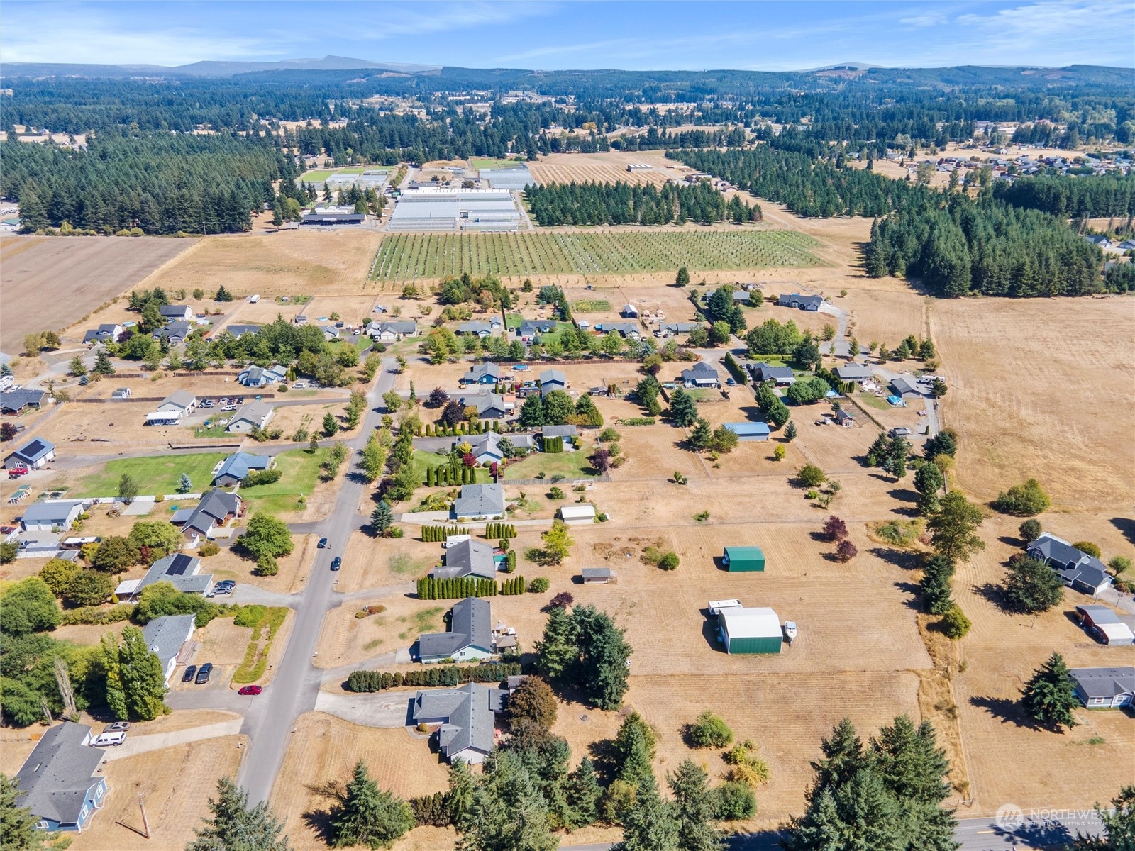 8643 194th Avenue Southwest Rochester, WA 98579 - Photo 7 of 28 an aerial view of lake and residential houses with outdoor space