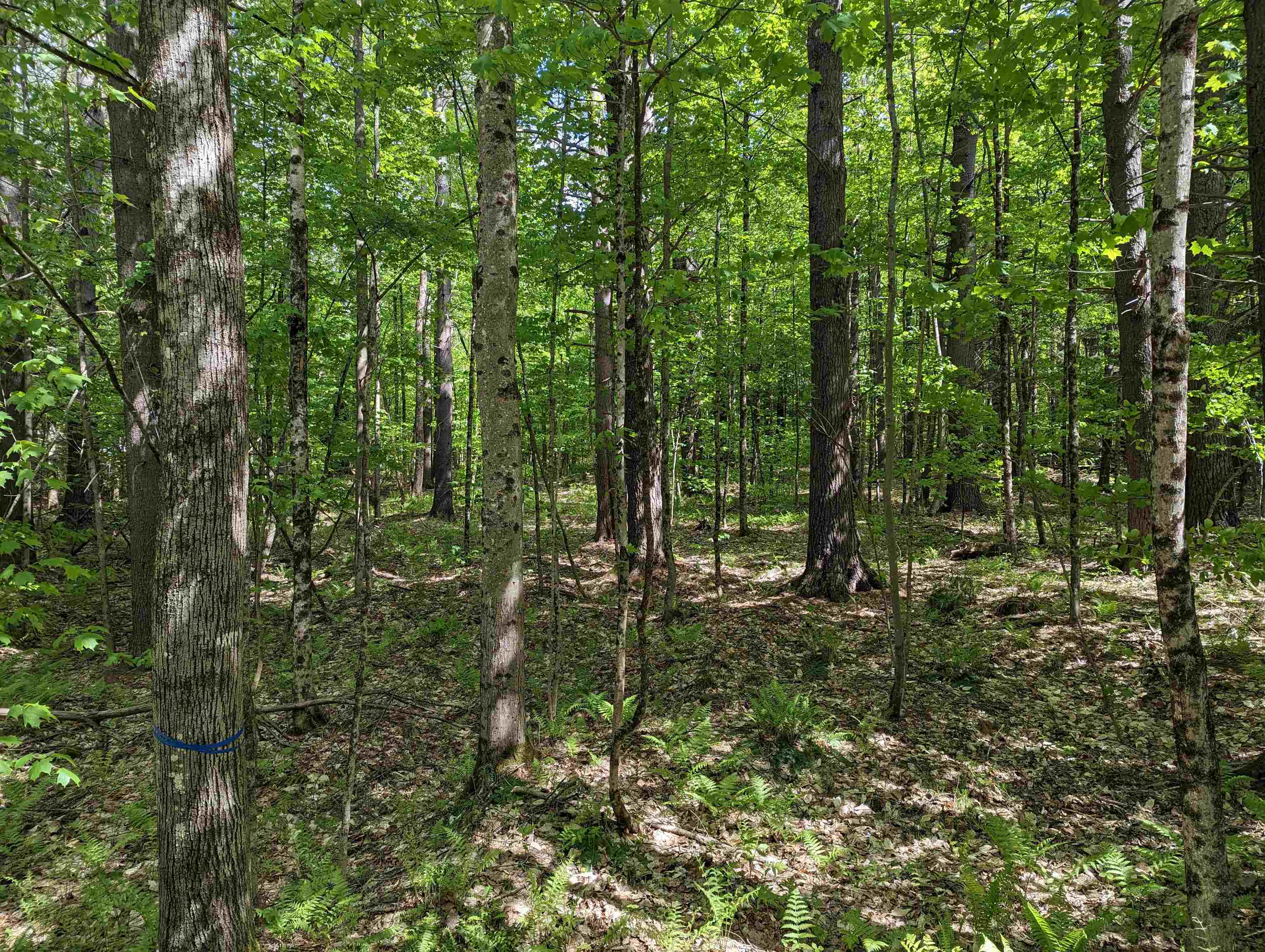 East Road Cornish, NH 03745 - Photo 2 of 7