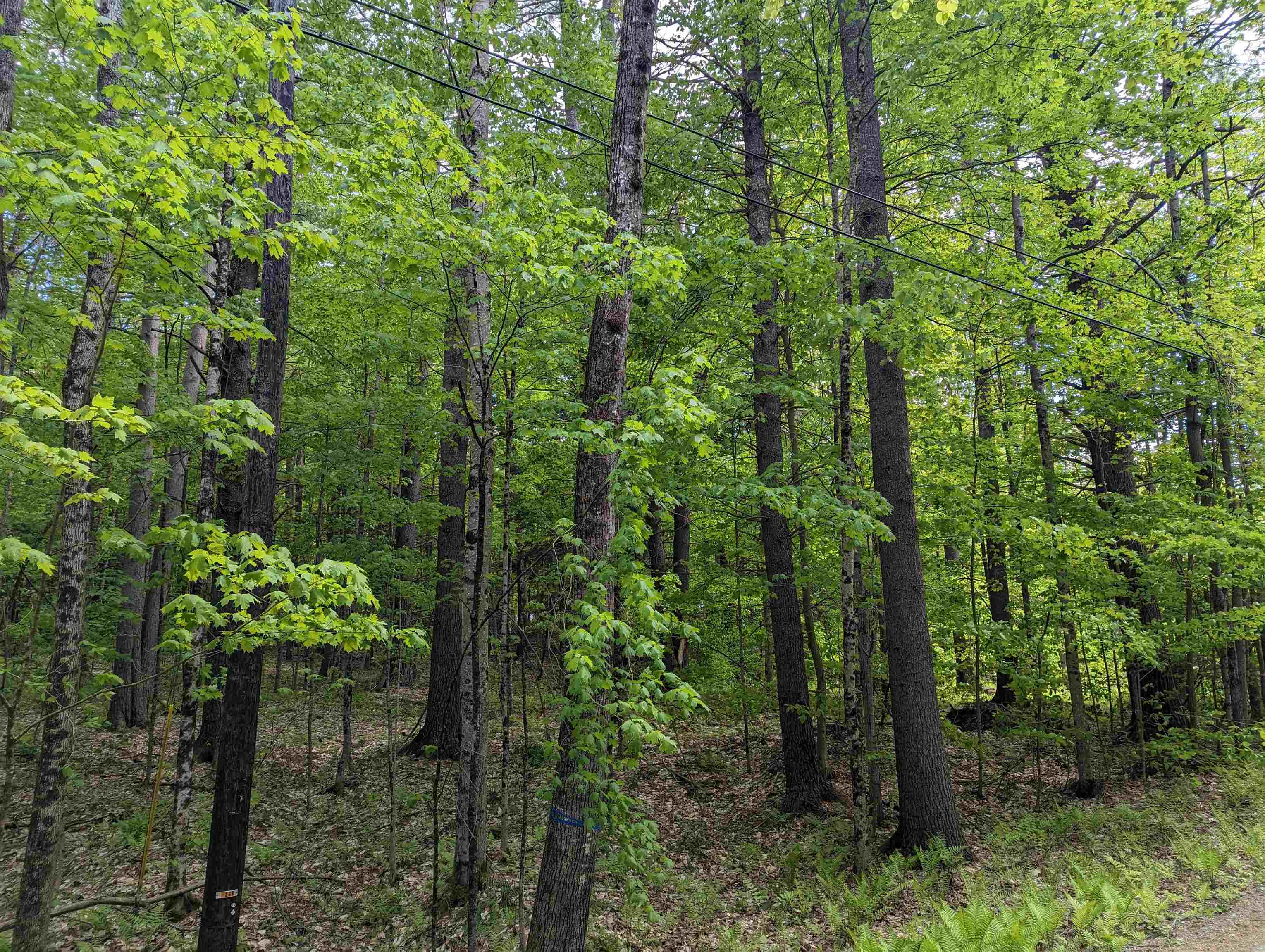 East Road Cornish, NH 03745 - Photo 3 of 7