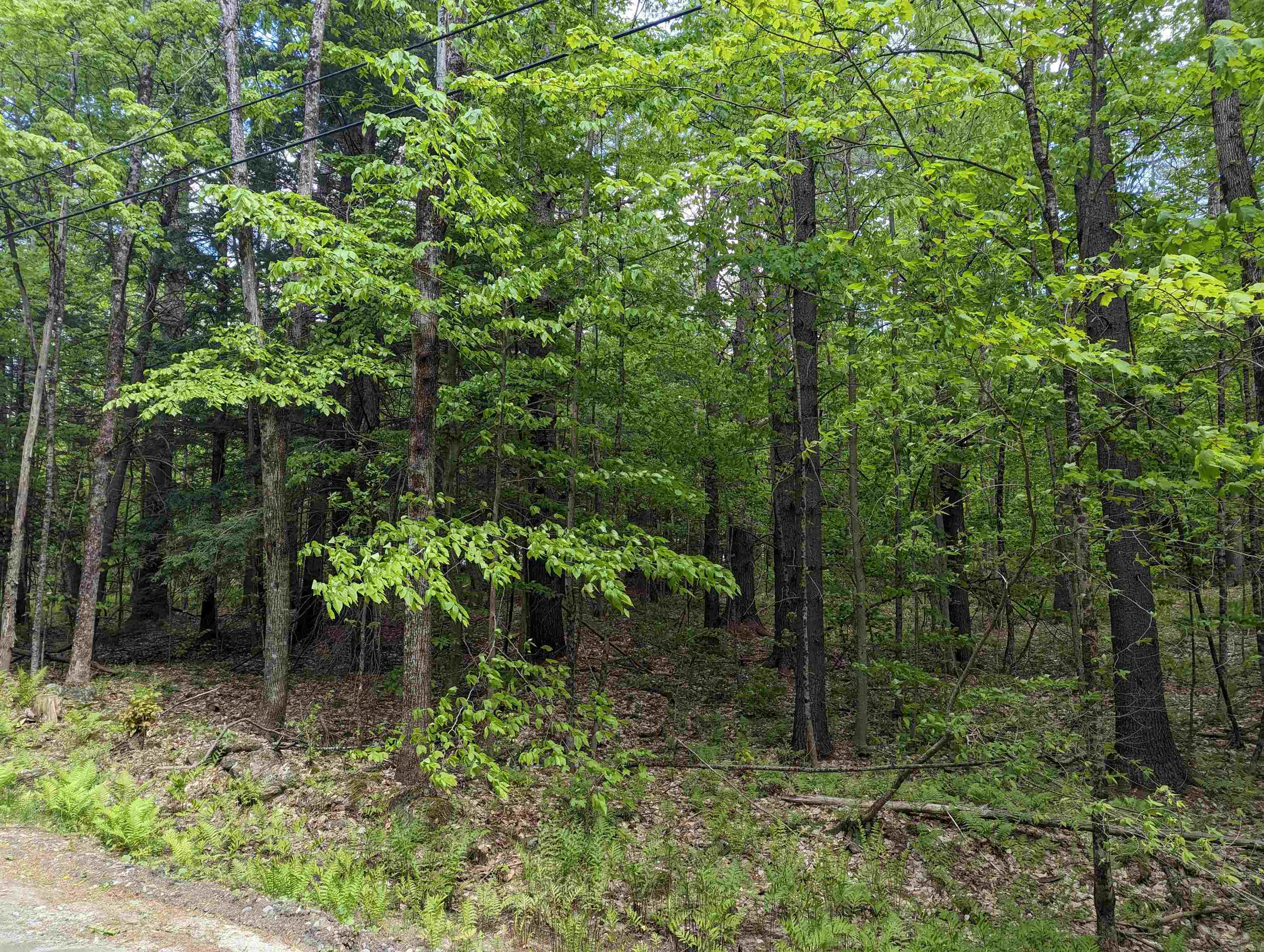 East Road Cornish, NH 03745 - Photo 4 of 7