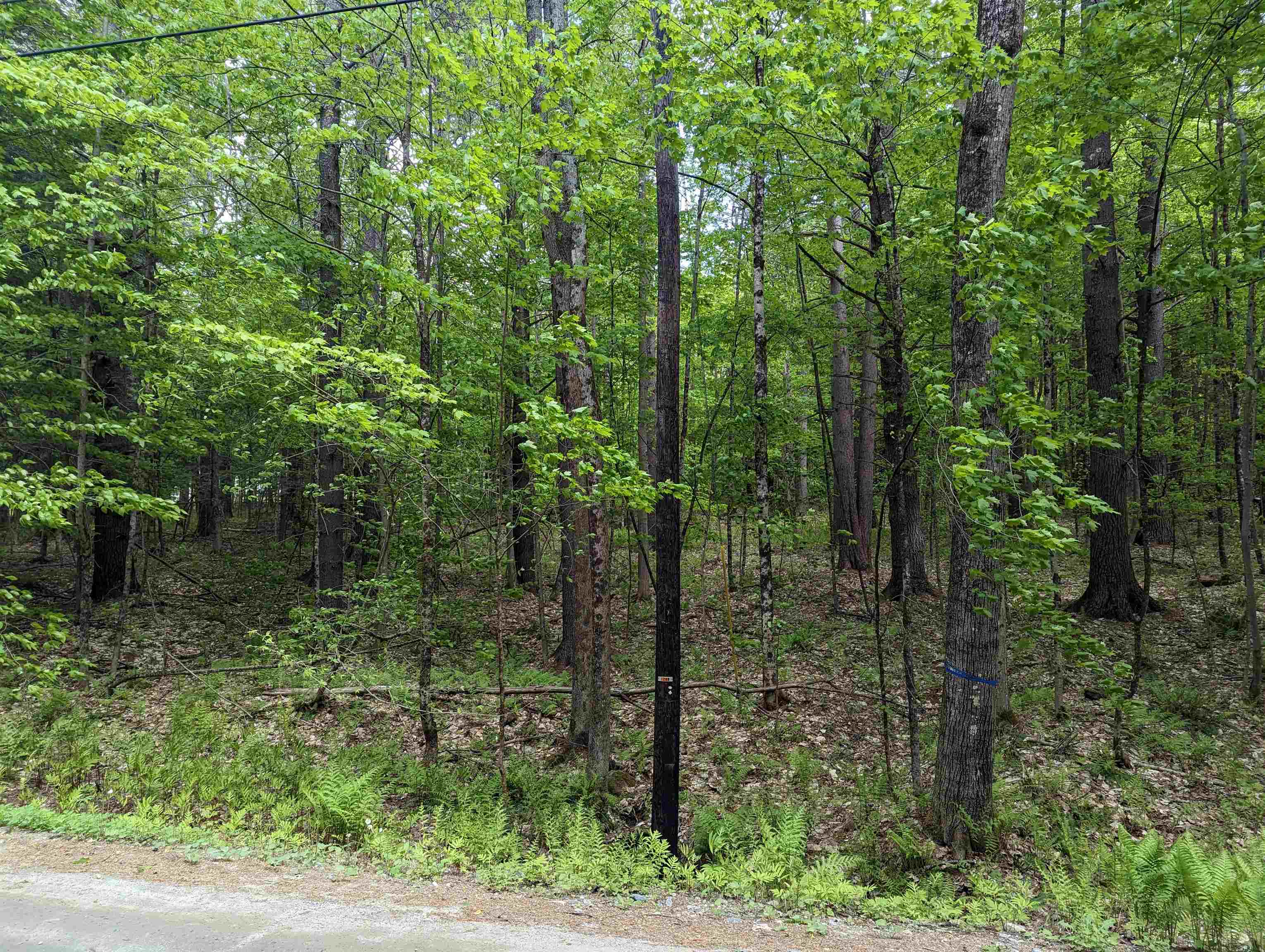 East Road Cornish, NH 03745 - Photo 6 of 7