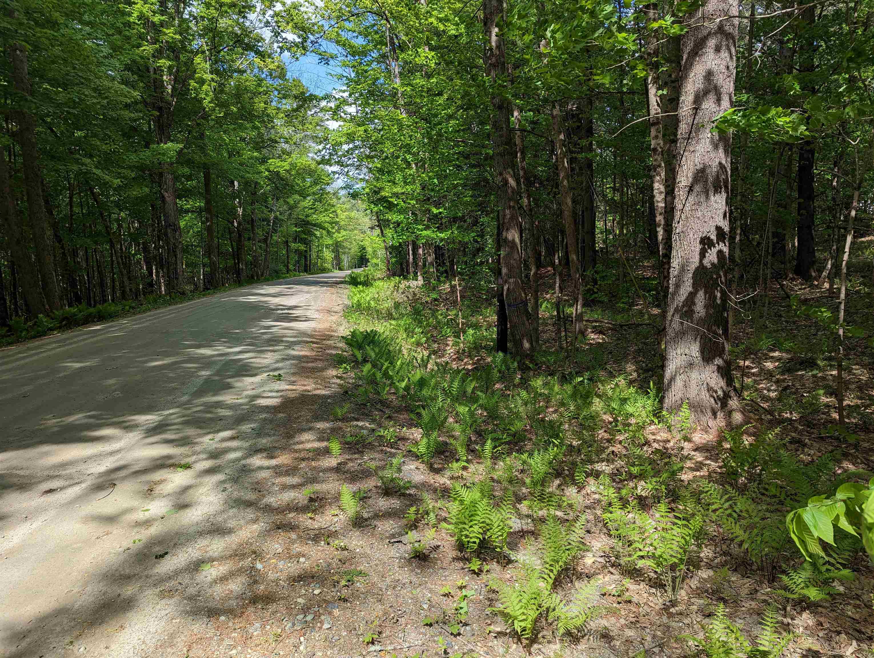 East Road Cornish, NH 03745 - Photo 7 of 7