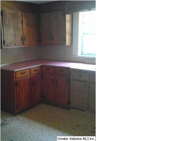 209 Old Bryan Road Sumiton, AL 35148 - Photo 5 of 14