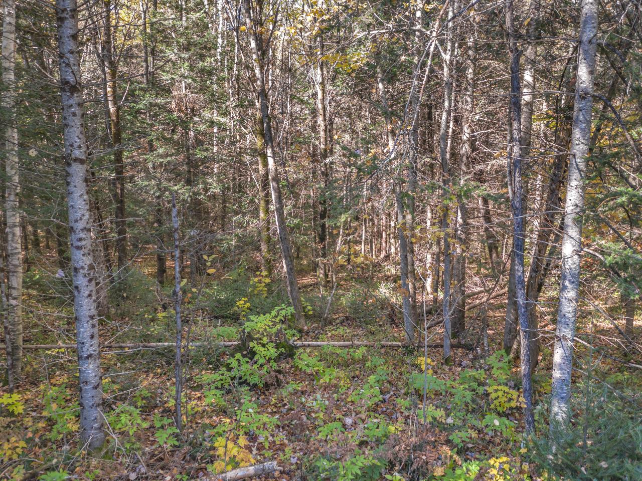 1208 Davies Road Phelps, WI 54554 - Photo 51 of 69 Gallery Image 51