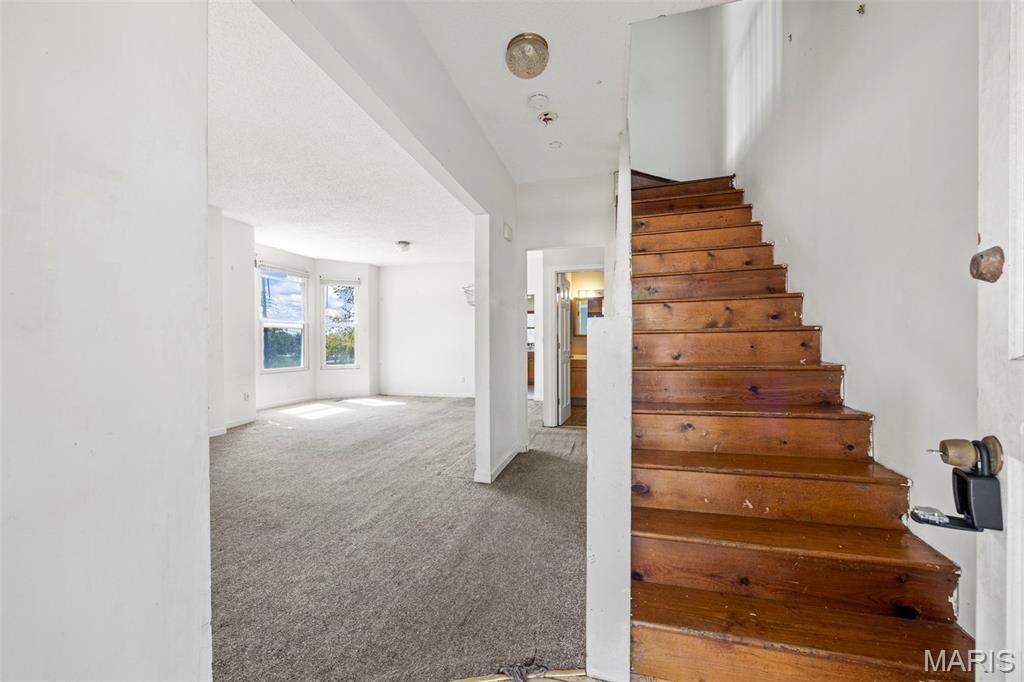 2703 Ashby Road St. Louis, MO 63114 - Photo 20 of 61 Gallery Image 20