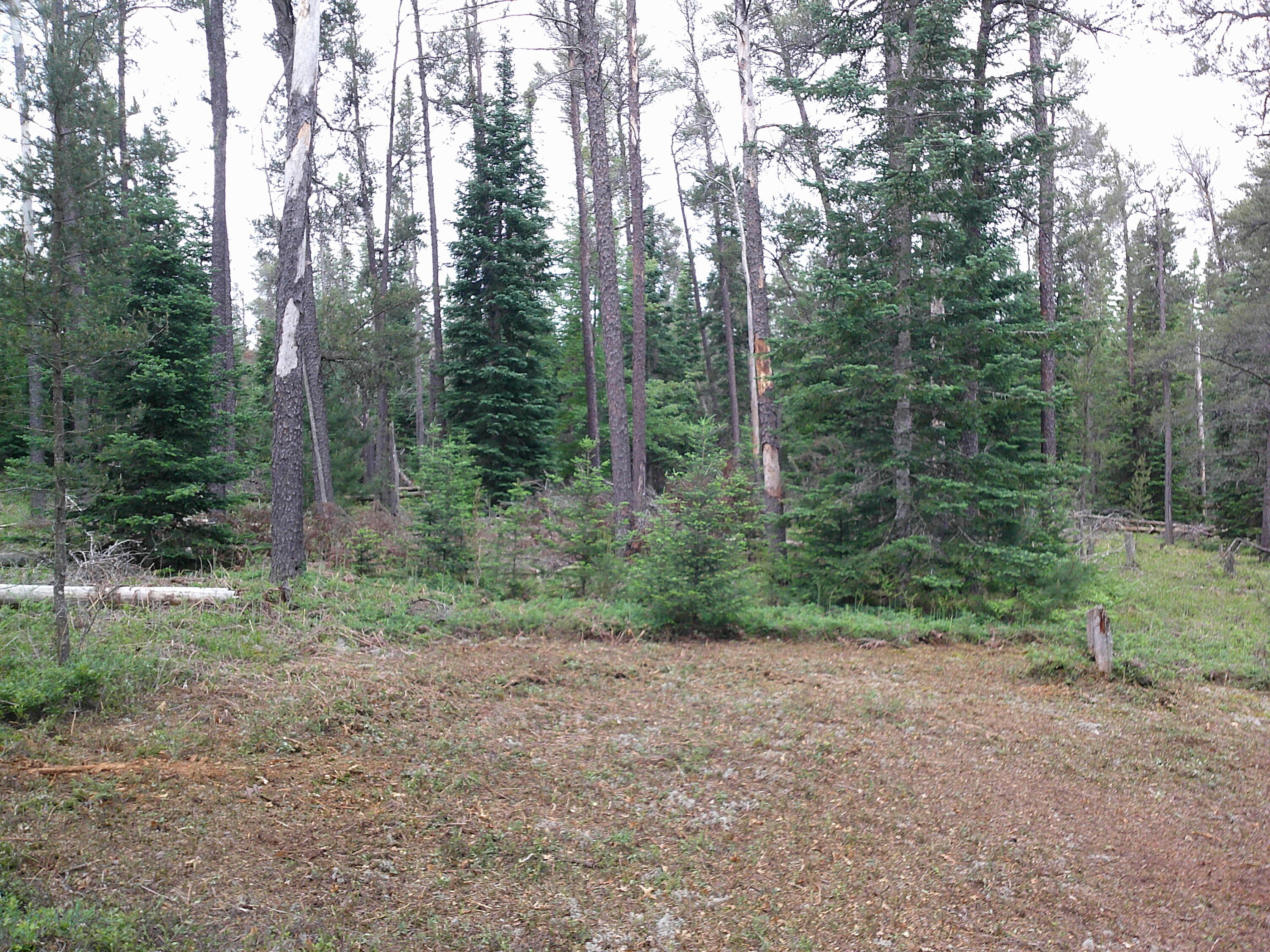 Shaw Park Road Grayling, MI 49738 - Photo 10 of 12 Gallery Image 10