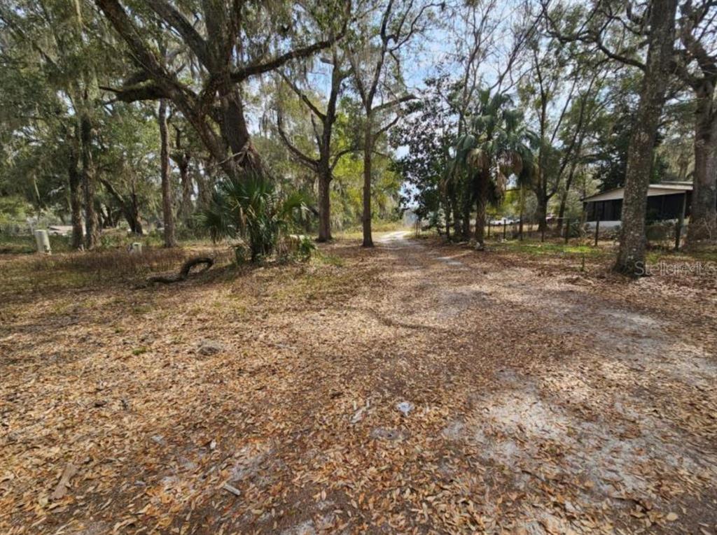 4210 Northeast 175th Street Road Citra, FL 32113 - Photo 2 of 7