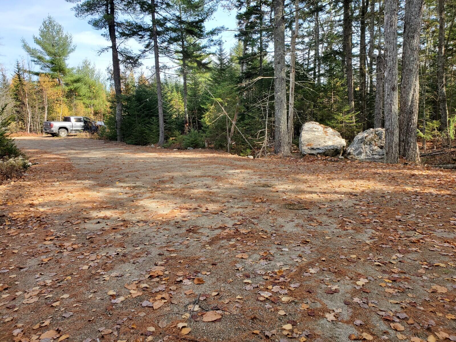 Lot 11 Birch Point Road Cooper, ME 04657 - Photo 20 of 21 20201022_123303 (1)