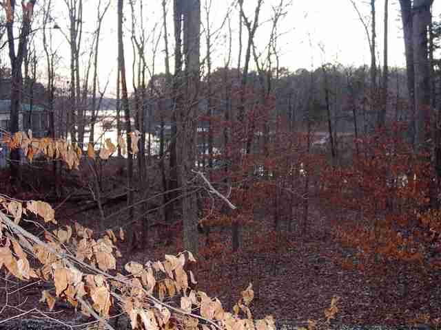 L-422 Shelor Ferry Road Fair Play, SC 29643 - Photo 3 of 4 Gallery Image 3