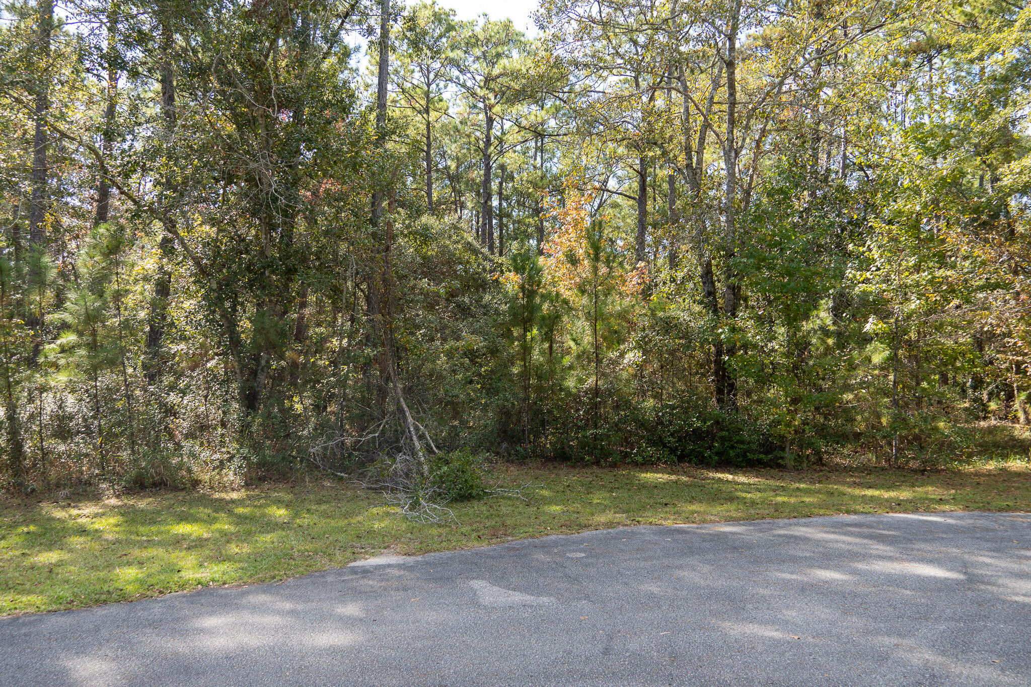 Lot 115 Oak Harbor Freeport, FL 32439 - Photo 11 of 17 a view of a yard with a trees