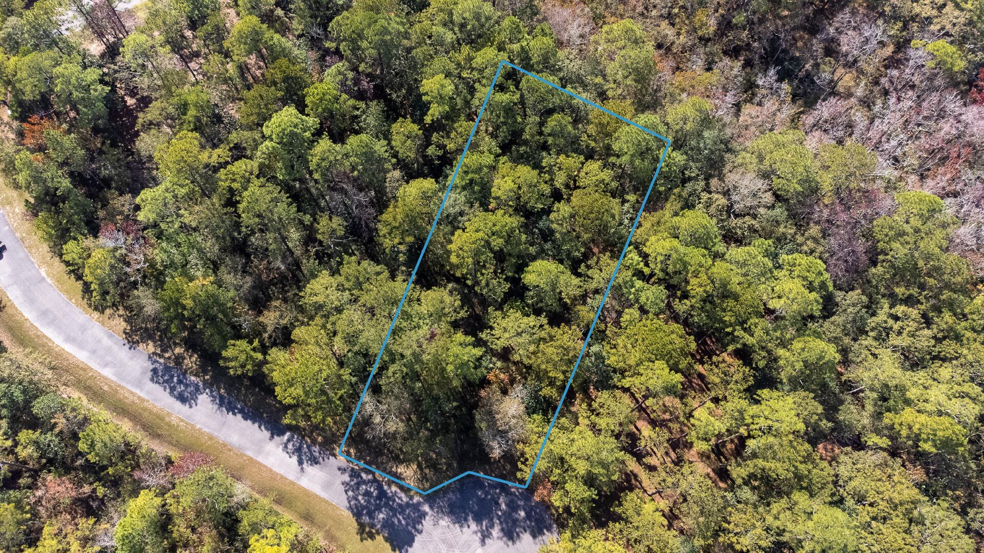 Lot 115 Oak Harbor Freeport, FL 32439 - Photo 3 of 17 a view of a garden with plants