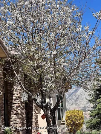 $920,000 | 233 Meadow Creek Drive, Parachute, CO 81635