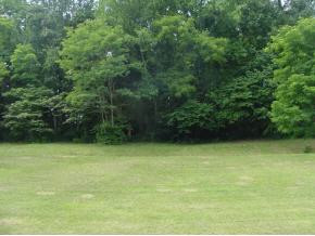 913 Providence Road Limestone, TN 37681 - Photo 8 of 9 Photo 8