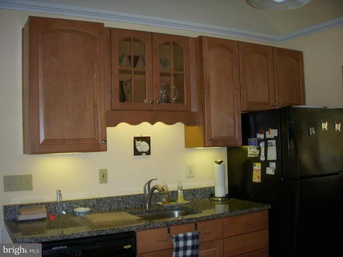 14945 Wellwood Road Silver Spring, MD 20905 - Photo 20 of 30 GRANITE COUNTERS, MAPLE CABINETS