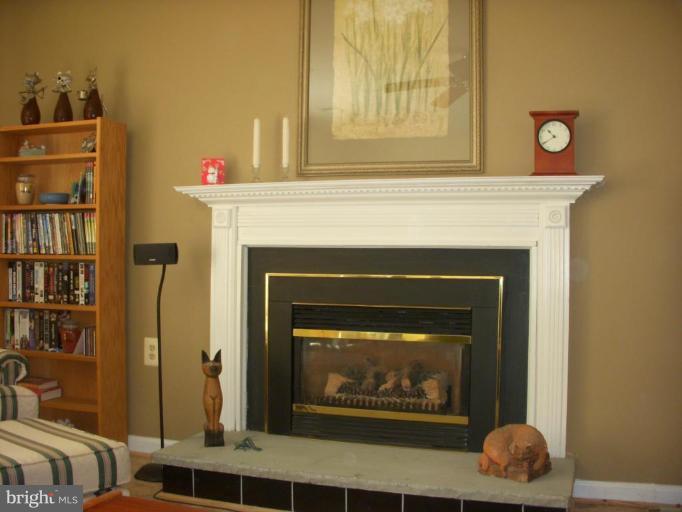 14945 Wellwood Road Silver Spring, MD 20905 - Photo 25 of 30 STUNNING GAS FIREPLACE