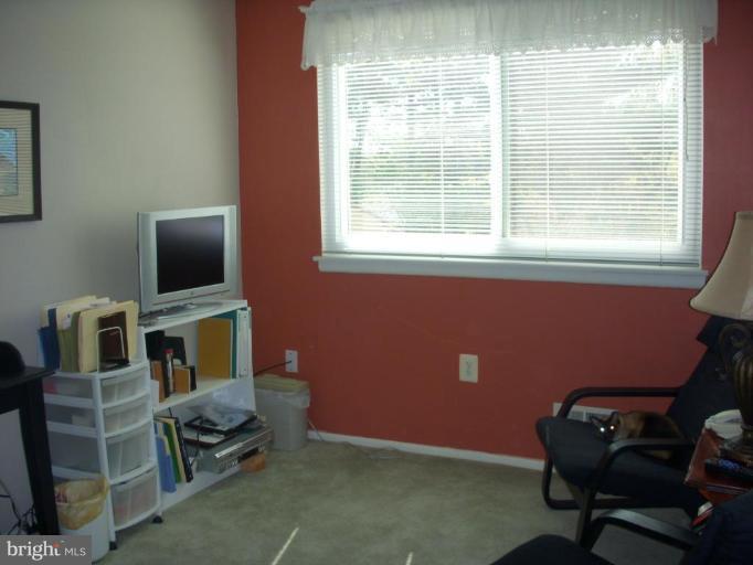 14945 Wellwood Road Silver Spring, MD 20905 - Photo 29 of 30 SUNNY REAR BEDROOM, NOTICE KIWI?