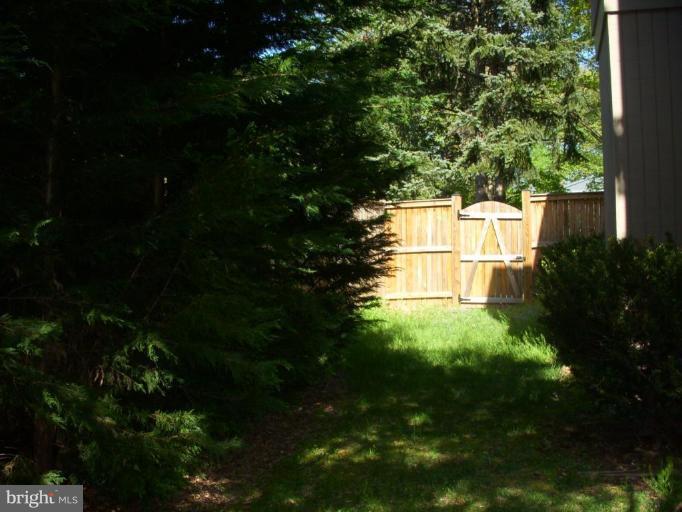 14945 Wellwood Road Silver Spring, MD 20905 - Photo 30 of 30 SIDE YARD, STAND OF TREES FOR PRIVACY, FENCED TOO!