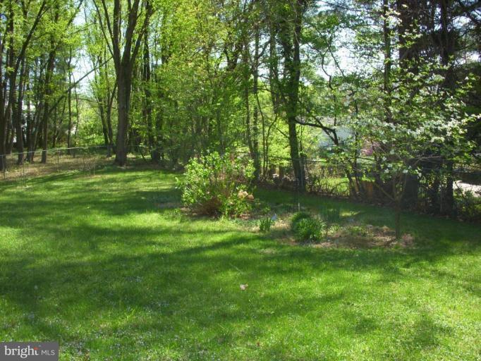 14945 Wellwood Road Silver Spring, MD 20905 - Photo 6 of 30 GREAT REAR YARD, FULLY FENCED TOO!