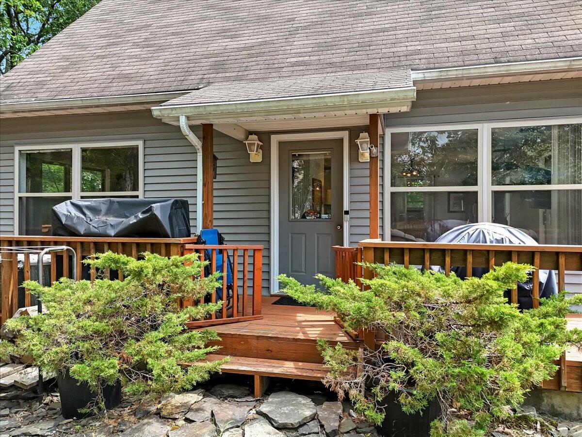 45-Photo Jul 08 2025, 11 35 50 AM