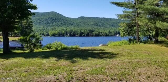 101 Kibler Point Wells, NY 12190 - Photo 35 of 46 4cbda7e4-b50e-423e-82d8-87456d60173a