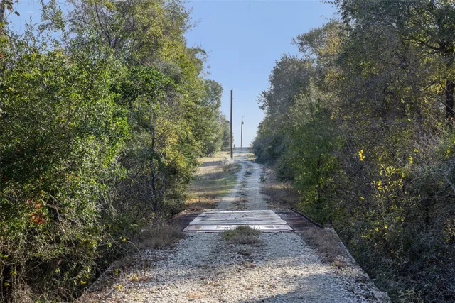 a view of a pathway both side of yard