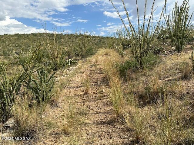 8167 South Pistol Hill Road Vail, AZ 85641 - Photo 24 of 36