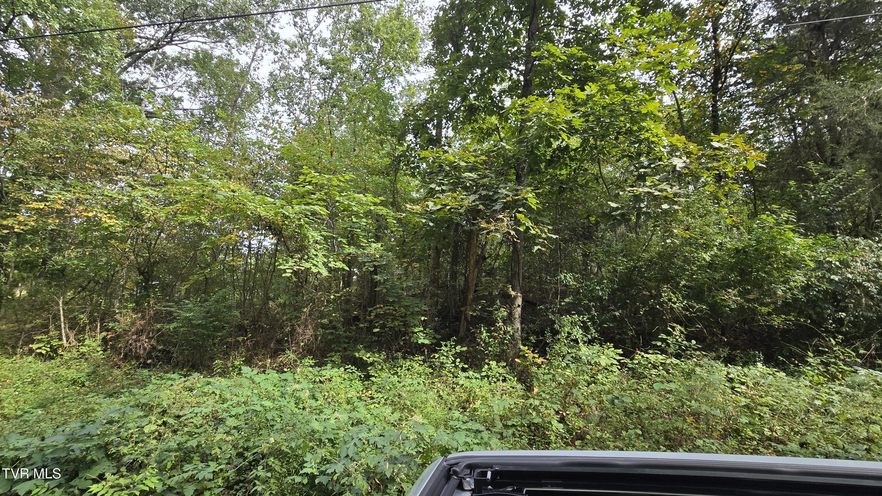 0 Blue Friday Road Gray, TN 37615 - Photo 3 of 9 20250926_143635