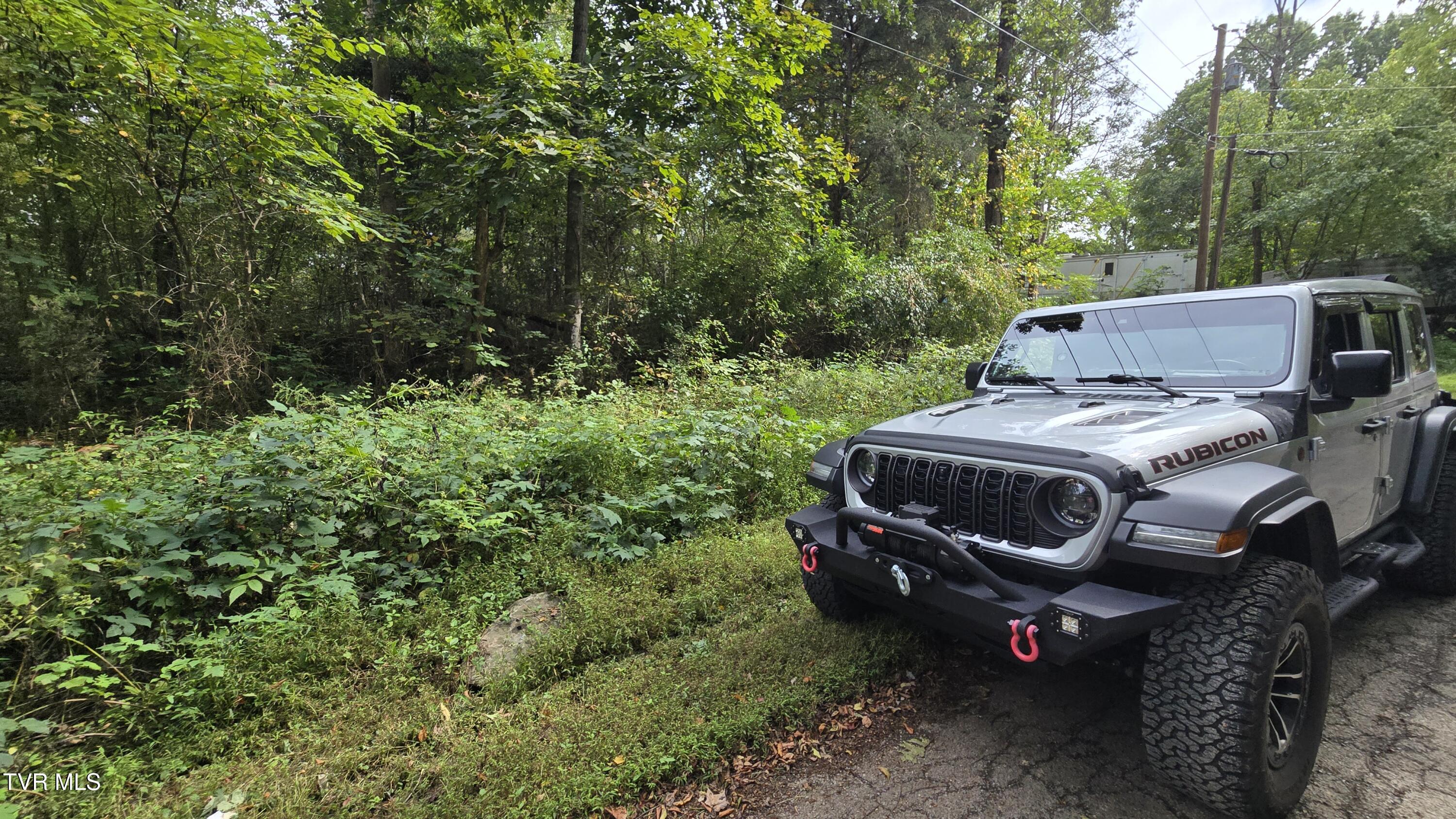 0 Blue Friday Road Gray, TN 37615 - Photo 4 of 9 20250926_143620