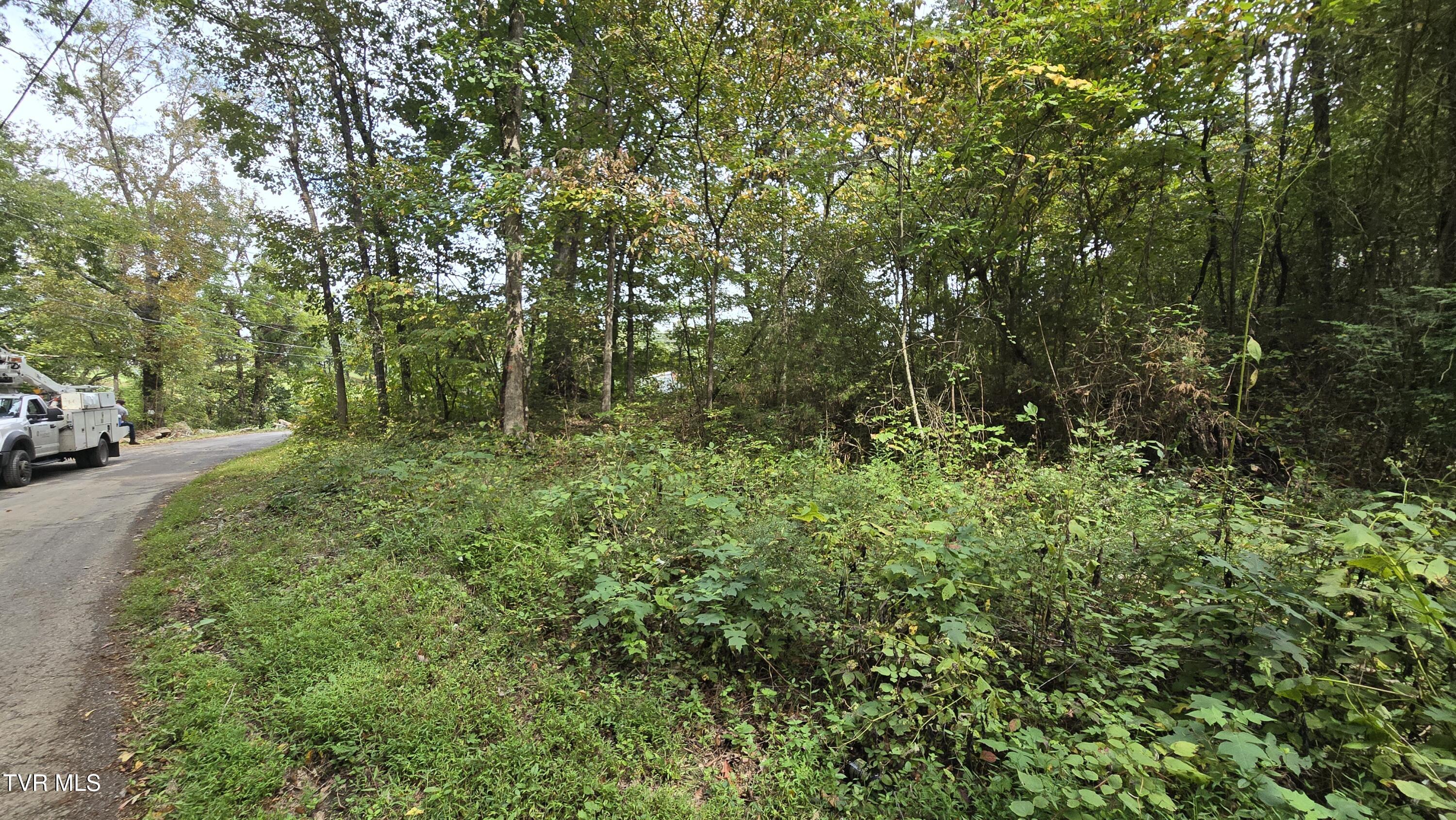 0 Blue Friday Road Gray, TN 37615 - Photo 5 of 9 20250926_143609