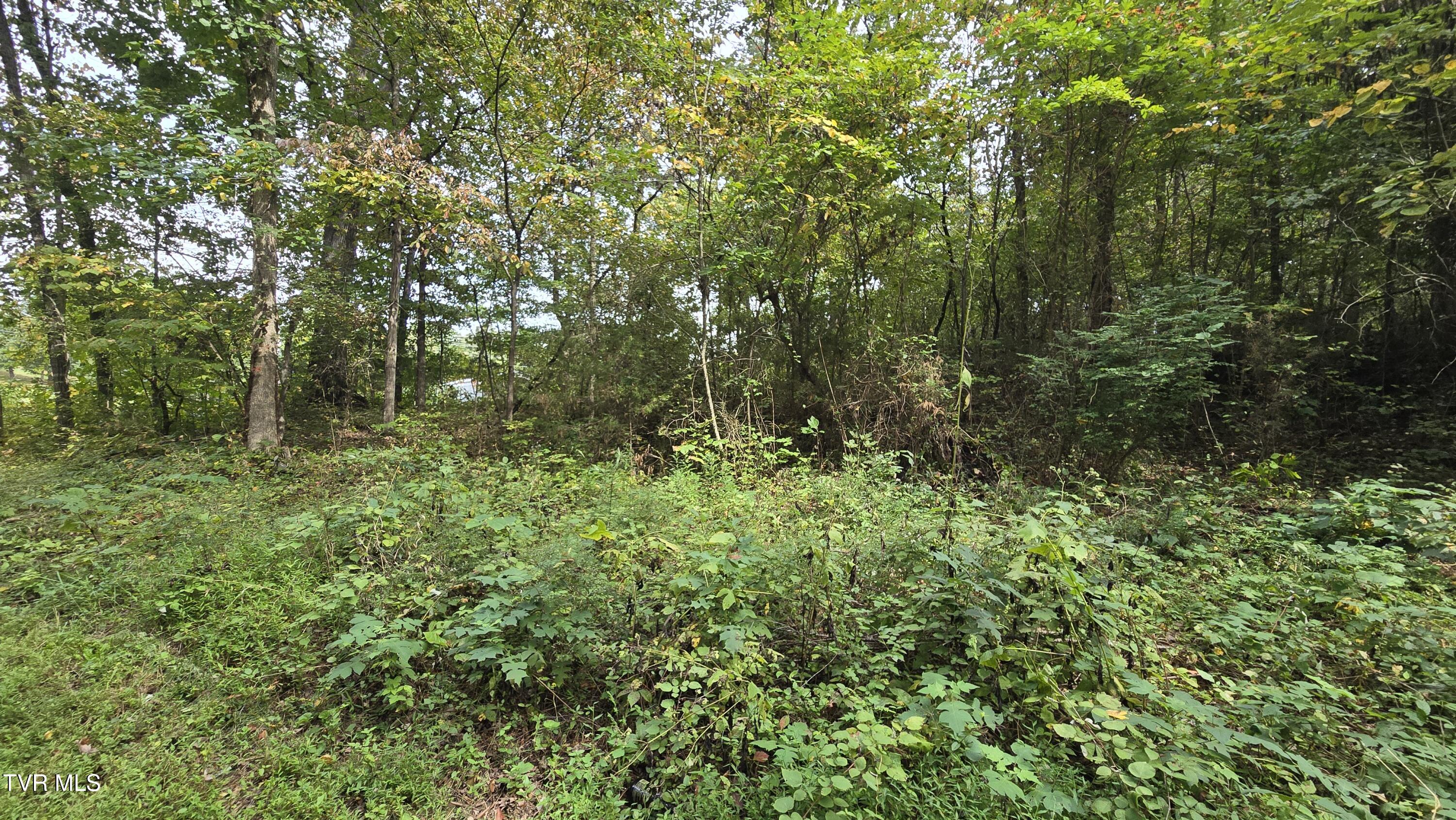 0 Blue Friday Road Gray, TN 37615 - Photo 6 of 9 20250926_143607
