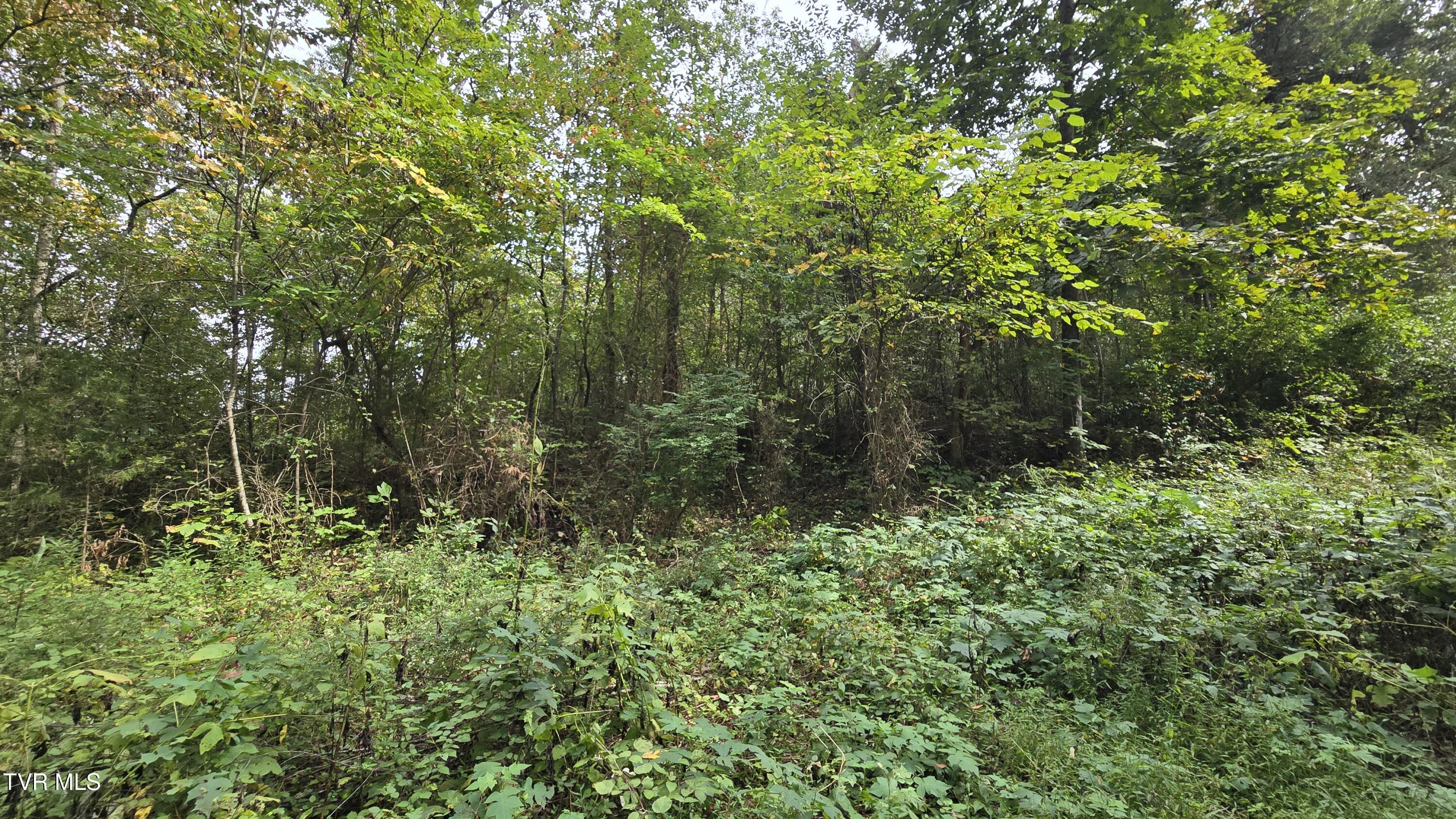 0 Blue Friday Road Gray, TN 37615 - Photo 7 of 9 20250926_143604