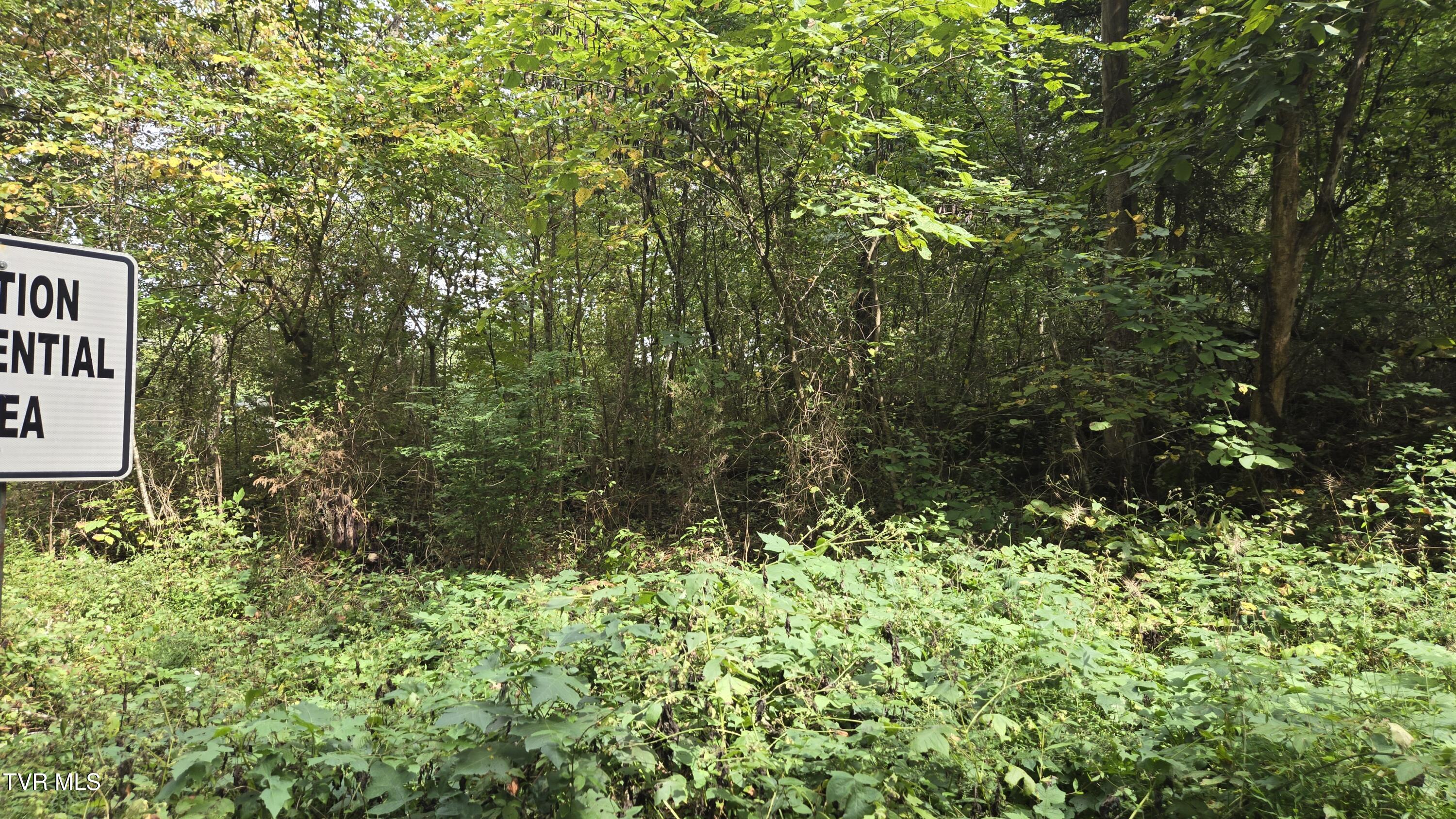 0 Blue Friday Road Gray, TN 37615 - Photo 9 of 9 20250926_143539