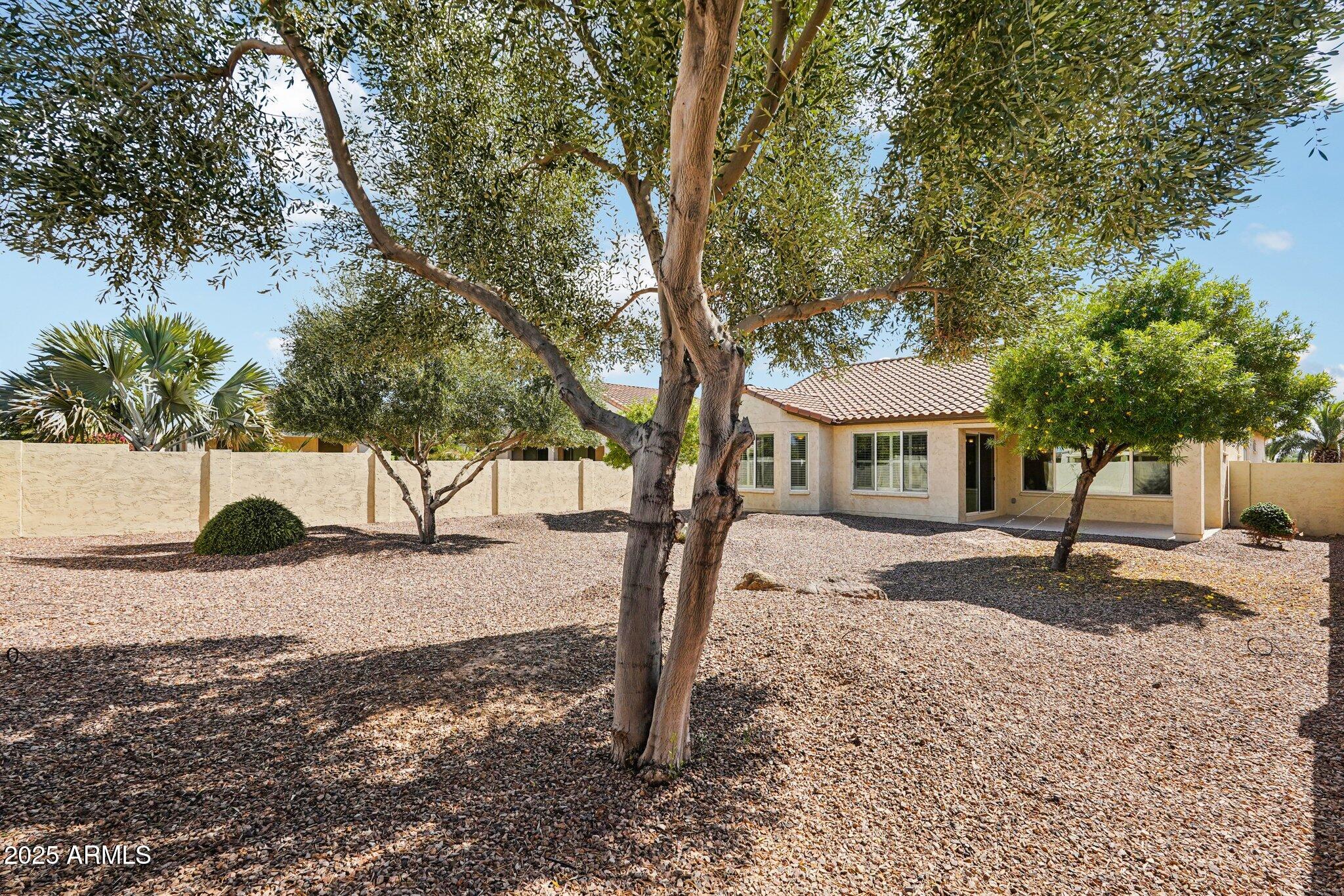 16758 West Almeria Road Goodyear, AZ 85395 - Photo 26 of 55 38-web-or-mls-W Almeria Rd-S0910-038