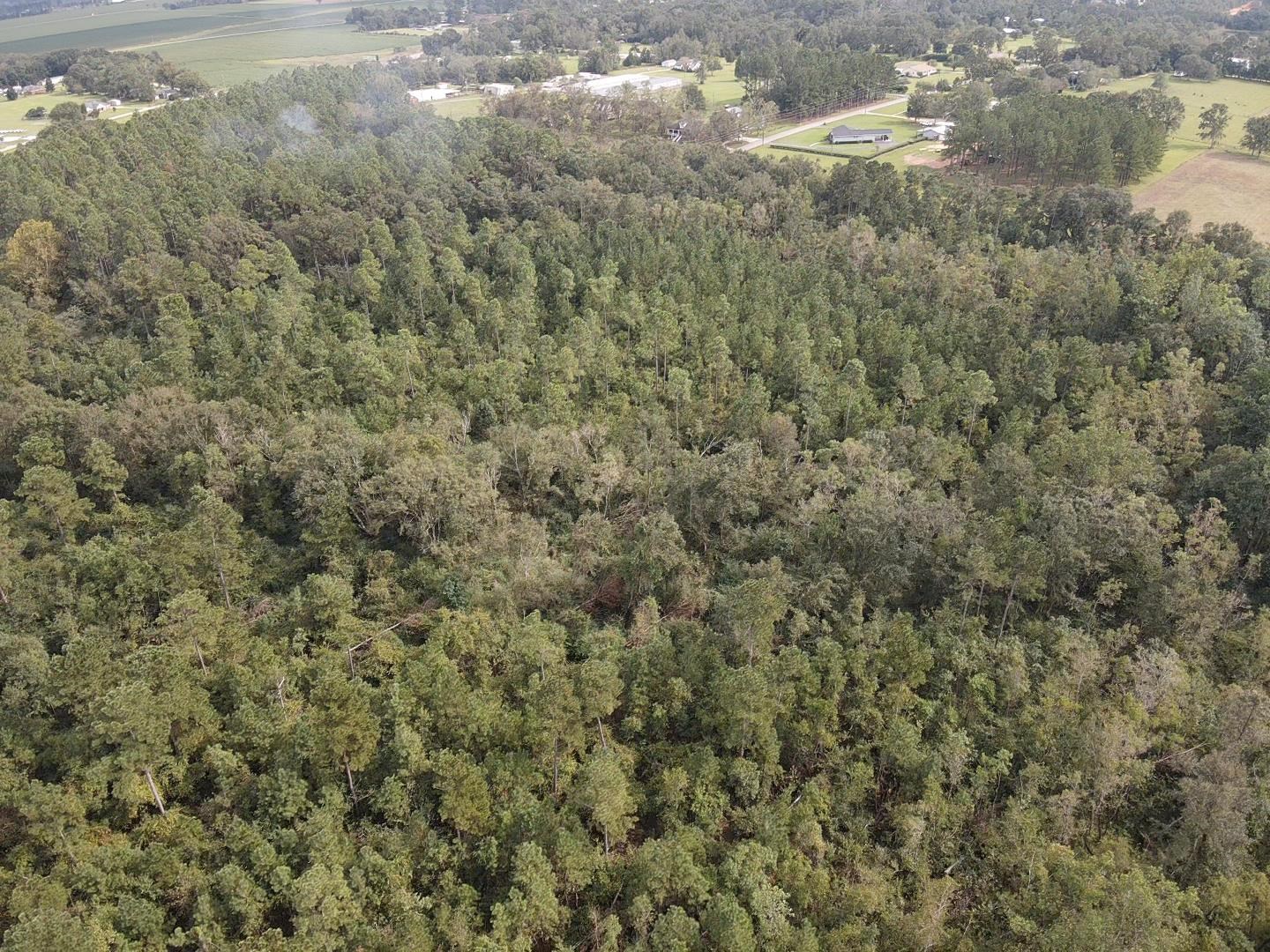 0 Dawson Road Loxley, AL 36551 - Photo 7 of 9
