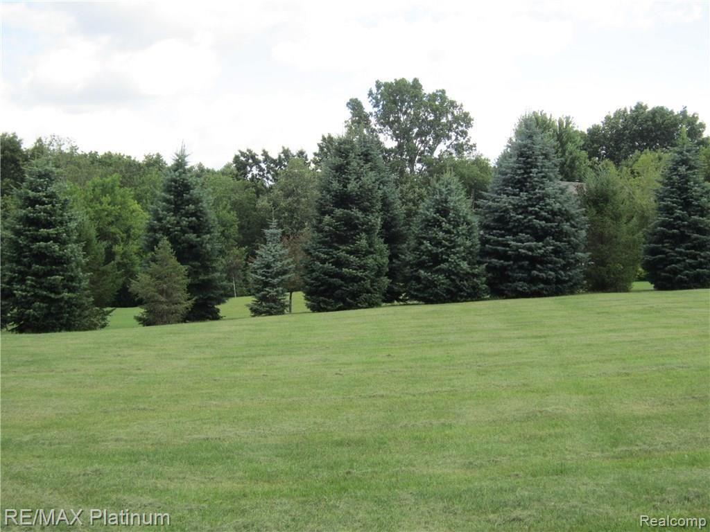0 Buno Road Milford, MI 48380 - Photo 10 of 12 IMG_1166.JPG