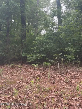 $353,500 | Shurden Owen Drive, Gore Springs, MS 38929