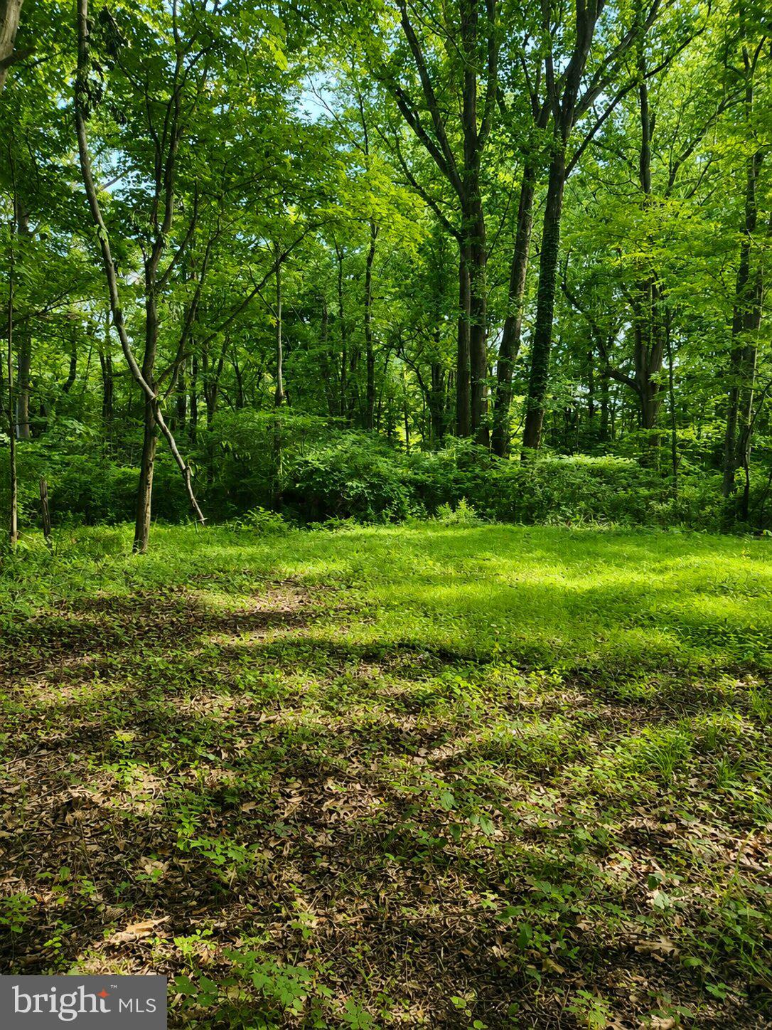 1475 Langhorne Yardley Road Langhorne, PA 19047 - Photo 18 of 28 Lush green woodland retreat.