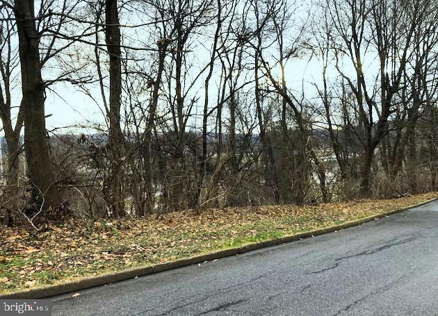 2 East Park Road Wyomissing, PA 19609 - Photo 4 of 6 a view of backyard space