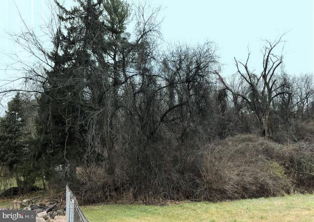 2 East Park Road Wyomissing, PA 19609 - Photo 5 of 6 a view of a yard with large tree