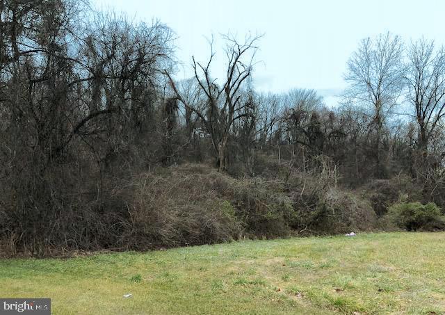 2 East Park Road Wyomissing, PA 19609 - Photo 6 of 6 a view of a yard