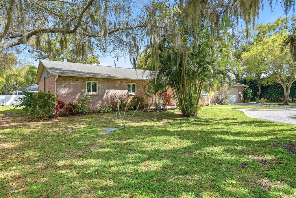 2817 Fleeman Road Palm Harbor, FL 34683 - Photo 3 of 61