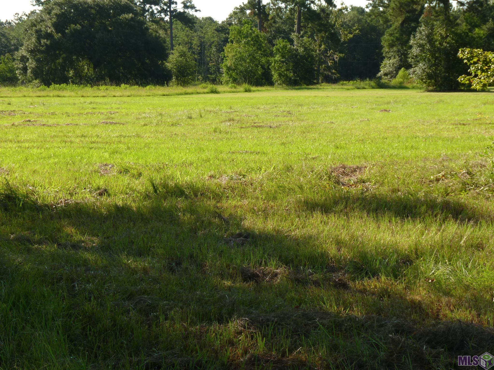 Lot 7 Lynda Springfield, LA 70462 - Photo 2 of 2