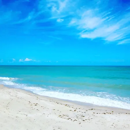 a view of beach and ocean