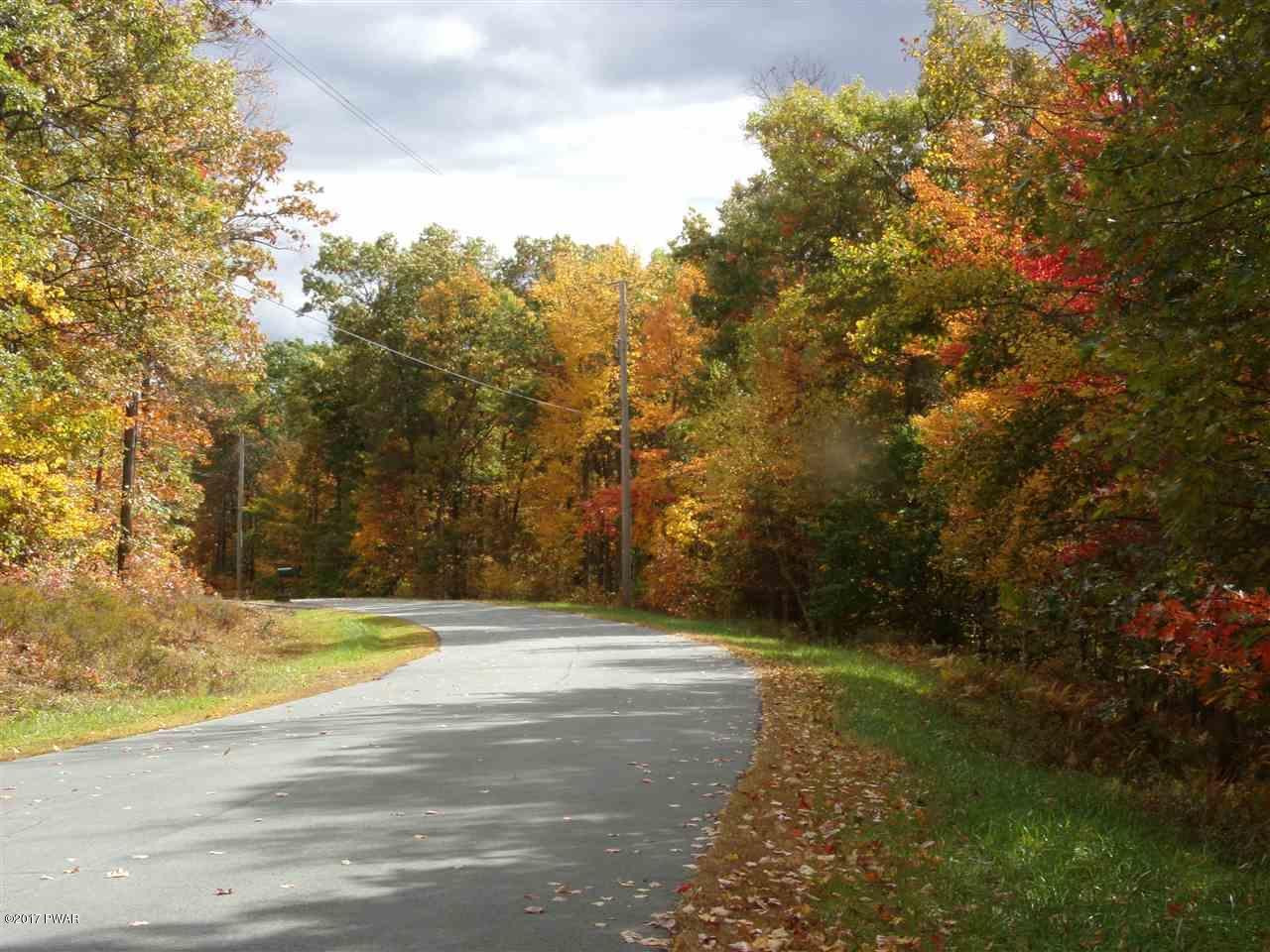 Lot 6.82 Lenni Lenape Road Narrowsburg, NY 12764 - Photo 5 of 17